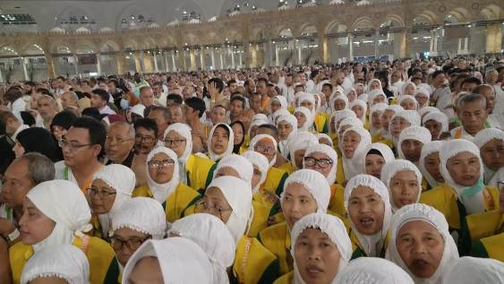 HAJI REGULER 2024 KLOTER 65 & 66 - Foto 319