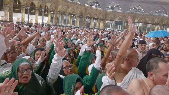 HAJI REGULER 2024 KLOTER 65 & 66 - Foto 116