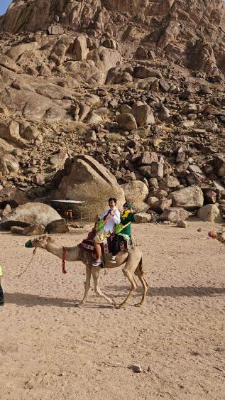 HAJI REGULER 2025 KLOTER 47 - Foto 163